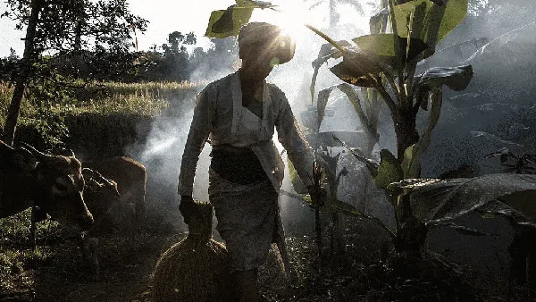 2023 Jadi Tahun Terpanas dalam Sejarah