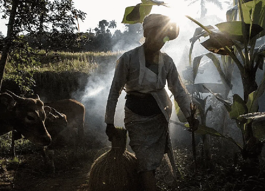 2023 Jadi Tahun Terpanas dalam Sejarah 2023 Jadi Tahun Terpanas dalam Sejarah