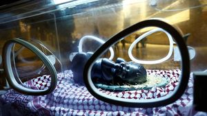 Instalasi Patung Bayi Yesus di Inkubator untuk Dukung Gaza