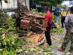2 Pohon Karet Tumbang di Lengkong Bandung