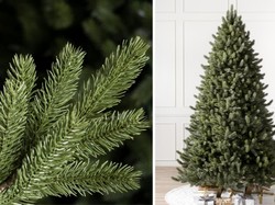 Pohon Natal Ternyata Bisa Membawa Hama Perusak Lingkungan, Ini Buktinya