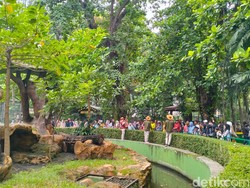 KBS Membeludak di Libur Natal, Siang Ini Sudah Ada 15 Ribu Pengunjung