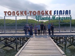Inspektorat Wajo Kunjungi Hutan Mangrove Tongke-tongke: Indahannya Alami