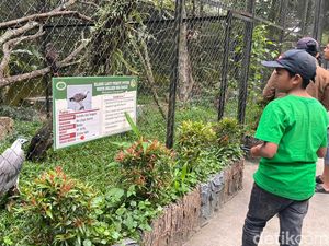 Kunjungan ke Siantar Zoo Naik 50 Persen Selama Nataru Kunjungan ke Siantar Zoo Naik 50 Persen Selama Nataru