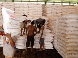 Pupuk Subsidi Hanya Dijual di Kios Resmi, di Luar Itu Bisa Kena Sanksi