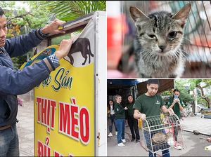 Sesal Pemilik Resto Usai 5 Tahun Bantai dan Sajikan Daging Kucing Sesal Pemilik Resto Usai 5 Tahun Bantai dan Sajikan Daging Kucing