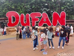 Rela Antre 1 Jam Lebih Demi Wahana Kora-kora di Dufan