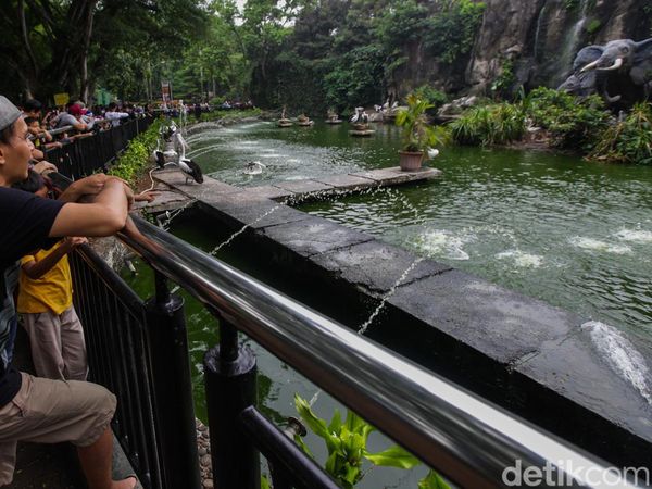 Taman Margasatwa Ragunan Diserbu Warga