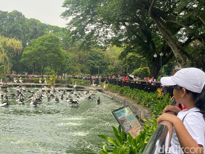 Taman Margasatwa Ragunan, Jaksel, 26 Desember 2023. (Devi Puspitasari/detikcom))