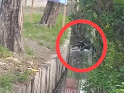 Miras Jahanam Pemicu Perkelahian yang Merenggut Maut Ahmad di Parit Gresik