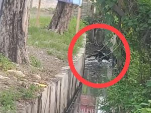 Miras Jahanam Pemicu Perkelahian yang Merenggut Maut Ahmad di Parit Gresik Miras Jahanam Pemicu Perkelahian yang Merenggut Maut Ahmad di Parit Gresik