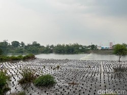 Pemuda Jombang Tersambar Petir Saat Mancing di Dam Sipon Mojokerto