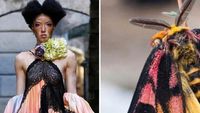 Ketika Foto Fashion dan Alam Disandingkan Bikin Tercengang