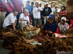Ganjar Dorong Jateng Jadi Pusat Tembakau Dunia, Singgung Hilirisasi