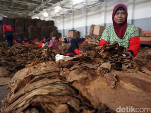 Pekerja Tembakau Sampaikan Aspirasi Penolakan RPP Kesehatan ke Pemerintah