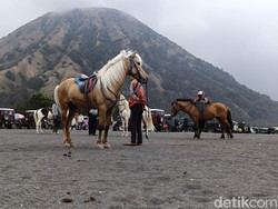 Ojek Kuda Gunung Bromo Gigit Jari Meski Wisatawan Membludak