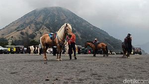 Potret Ojek Kuda di Kawasan Gunung Bromo