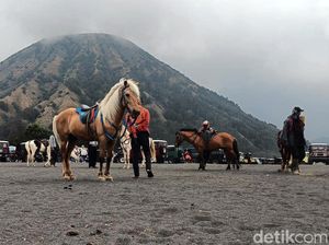Wisatawan Bromo Digetok Ojek Rp 400 Ribu, Camat Ungkap Ini yang Dibutuhkan Wisatawan Bromo Digetok Ojek Rp 400 Ribu, Camat Ungkap Ini yang Dibutuhkan