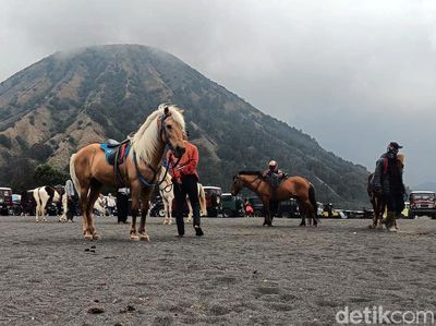 Potret Ojek Kuda di Kawasan Gunung Bromo