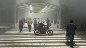Saat New Delhi Diselimuti Kabut Tebal, Jarak Pandang Hampir Nol
