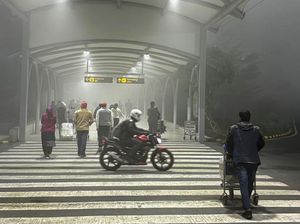 Saat New Delhi Diselimuti Kabut Tebal, Jarak Pandang Hampir Nol