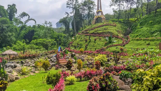 Agrowisata Gunung Pasang Jember.