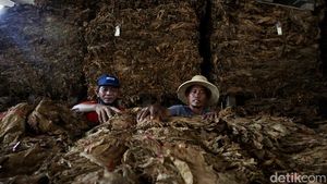 Aktivitas Buruh Rokok di Tengah Rencana Kenaikan Cukai