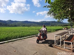 Yang Hijau-hijau di Jogja, Wisata Tepi Sawah di Geblek Pari Nanggulan