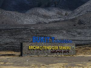 Akhir Kisah Pembakar Gunung Bromo, Dikenai Penjara dan Denda Miliaran Akhir Kisah Pembakar Gunung Bromo, Dikenai Penjara dan Denda Miliaran