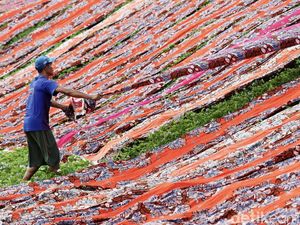 Melihat Penjemuran Kain Pantai di Sukoharjo