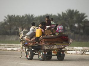 Bos Open AI Sebut Banyak Pekerja Teknologi Asal Palestina Takut Bersuara