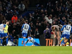 Brighton Vs Tottenham: The Seagulls Menang 4-2