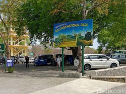 Kunjungan Wisatawan ke TN Baluran saat Libur Natal Naik Drastis