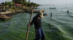 Kondisi Danau Terbesar di Amerika Latin yang Tercemar Minyak