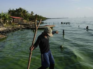 Kondisi Danau Terbesar di Amerika Latin yang Tercemar Minyak Kondisi Danau Terbesar di Amerika Latin yang Tercemar Minyak