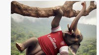 Meme gajah ini menggambarkan Arsenal yang harus turun dari puncak klasemen sementara Premier League. (Foto: Twitter)