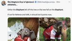 Arsenal Kalah dan Dihajar Meme Gajah Jatuh dari Pohon!