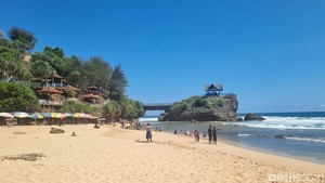 Hati-hati Dab! Ubur-ubur Beracun Bermunculan di 3 Pantai Gunungkidul