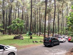 Harga Tiket Taman Safari Prigen hingga Wahana Terbaru, Gas Libur Tahun Baru!