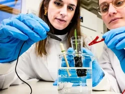 Tanah Canggih Ini Bikin Tanaman Hidroponik Lebih Cepat Tumbuh