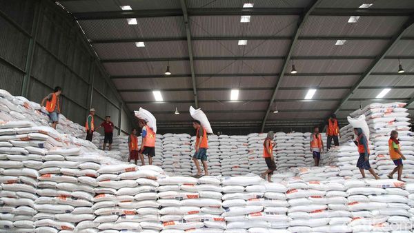 2024 Pasokan Beras Aman, Begini Kesibukan Bongkar Muat di Gudang Bulog