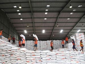 2024 Pasokan Beras Aman, Begini Kesibukan Bongkar Muat di Gudang Bulog 2024 Pasokan Beras Aman, Begini Kesibukan Bongkar Muat di Gudang Bulog