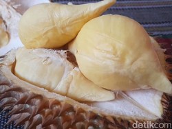Durian Sitokong dari Antap Sari Brebes, Manis Pahitnya Bikin Nagih