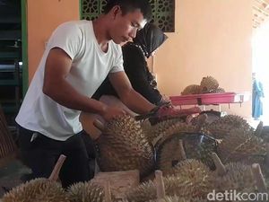 Durian Sitokong di Antap Sari Brebes, Kombinasi Manis-Pahit yang Pas Durian Sitokong di Antap Sari Brebes, Kombinasi Manis-Pahit yang Pas