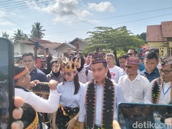 Momen Gibran-Selvi Jadi Tamu Kehormatan Adat Kaper NTT