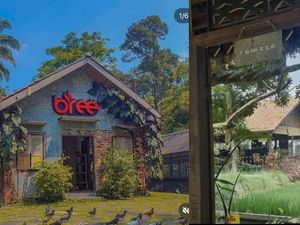 5 Kafe Nuansa Pedesaan di Bogor yang Asyik untuk Santai 5 Kafe Nuansa Pedesaan di Bogor yang Asyik untuk Santai