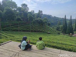 16 Objek Wisata di Blitar Diprediksi Ramai Saat Libur Tahun Baru