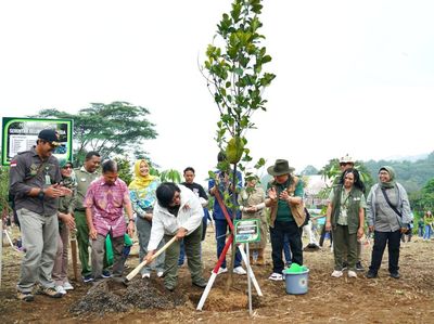 KLHK Tanam Pohon Serentak di 38 Provinsi Indonesia