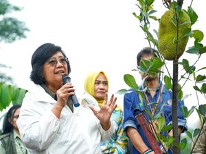 KLHK Tanam Bibit Pohon di 38 Provinsi Indonesia