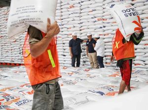 Momen Wamen BUMN dan Dirut Bulog Tinjau Gudang Beras